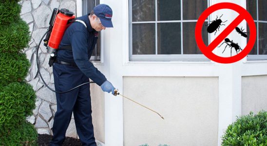 Gülşehir Bit İlaçlama böcek ilaçlama ve haşere kontrolü — ilaclama-tr.com